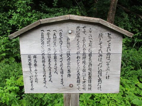 59入口5