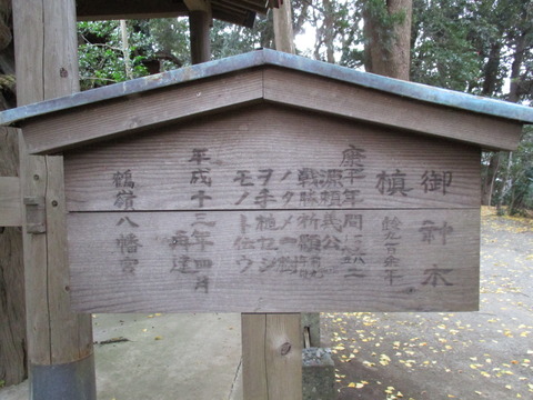 46鶴嶺八幡宮26