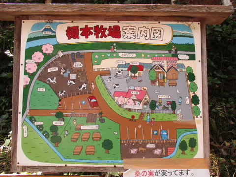 104榎本牧場3