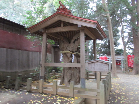 45鶴嶺八幡宮25