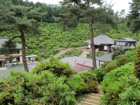 155高台2
