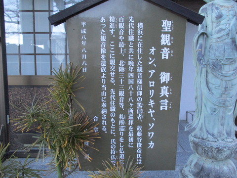 50聖観音2