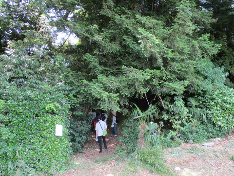 129徳星寺13