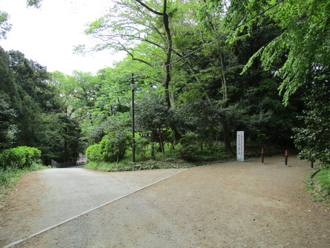 67分岐点