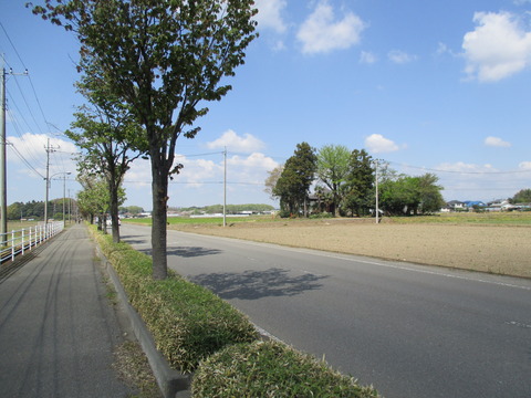 29薬師堂1
