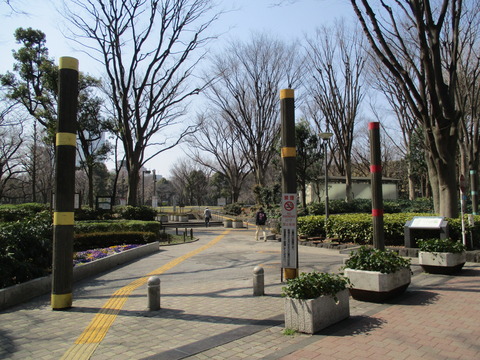 29新宿中央公園