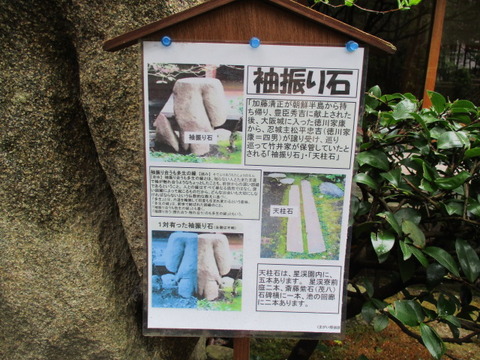81星溪園13