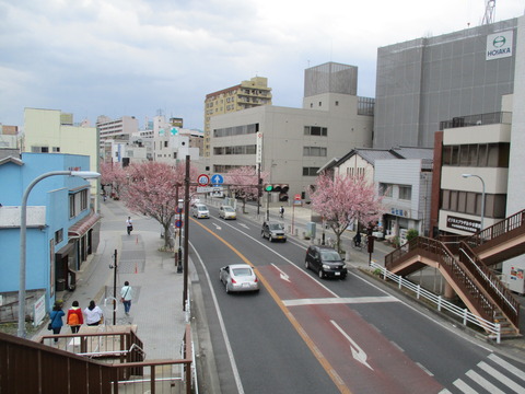 243再び祇園城通り1
