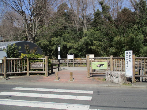 122ほたる公園6