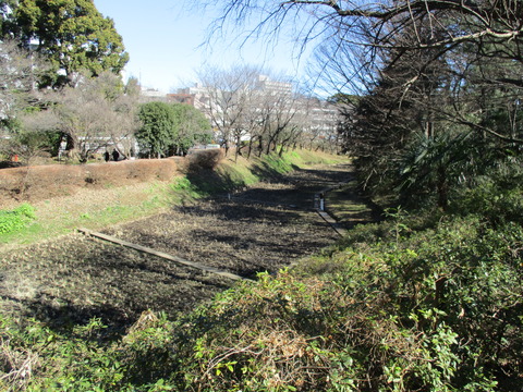 78駒場野公園9