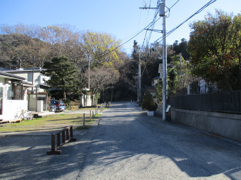 113参道1