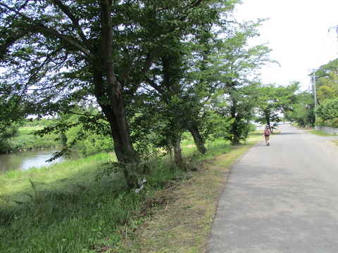 78荒川沿い