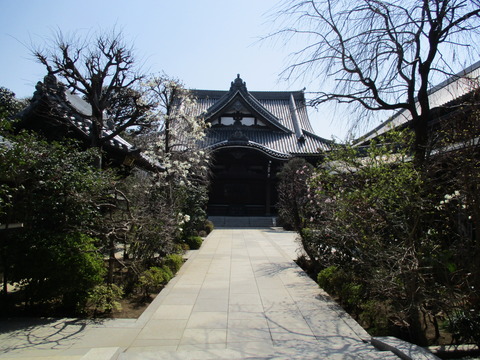 130立法寺4