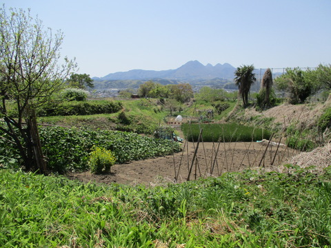 160堀跡2