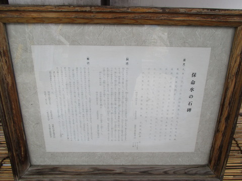 91保命水4