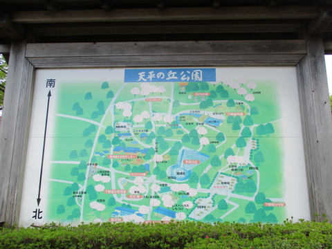 121再び天平の丘公園2