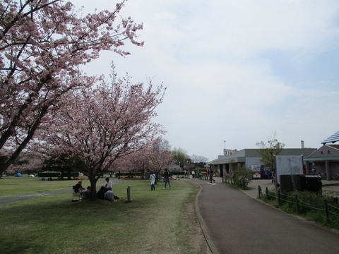 119小山総合公園14