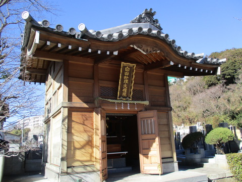 113海宝院5