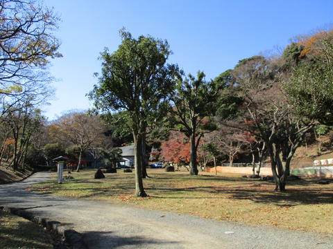 49ふれあいの広場