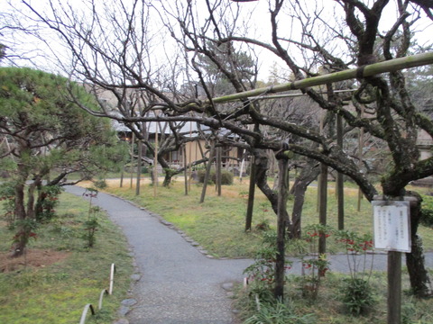 202高砂緑地4