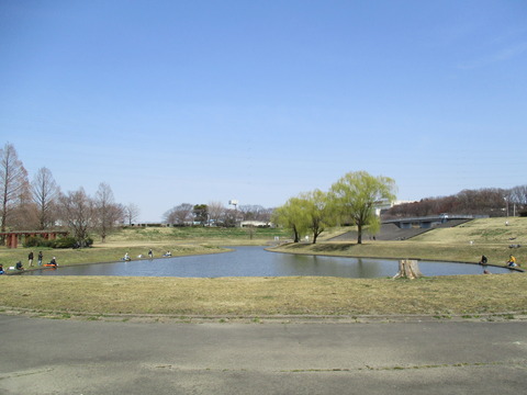 86ひょうたん池2
