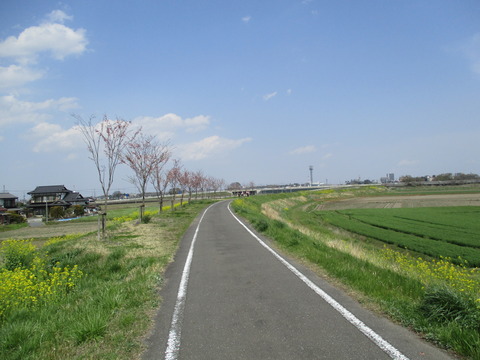 143萩島地域1