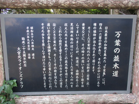 101再び見沼代用水7