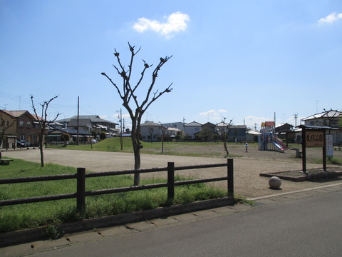 17久保公園1