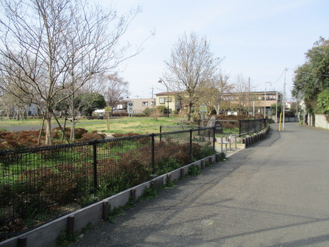 253かりん広場