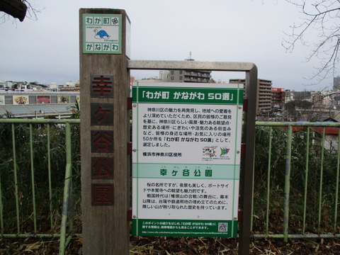 57幸ヶ谷公園8