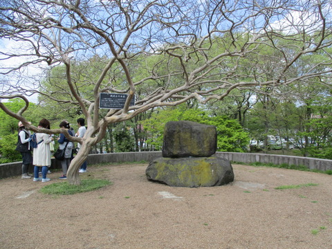 127国見山4