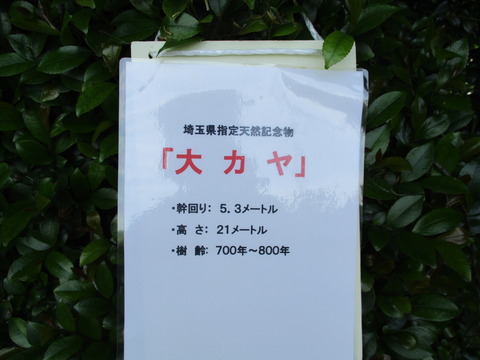 132徳星寺16