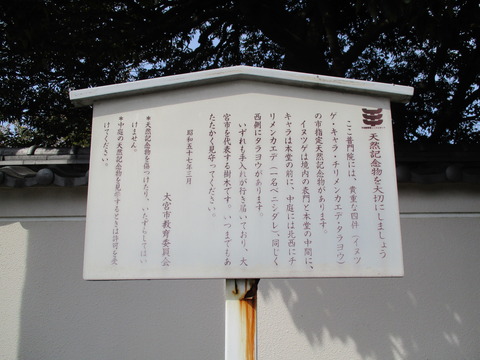 147普門院2