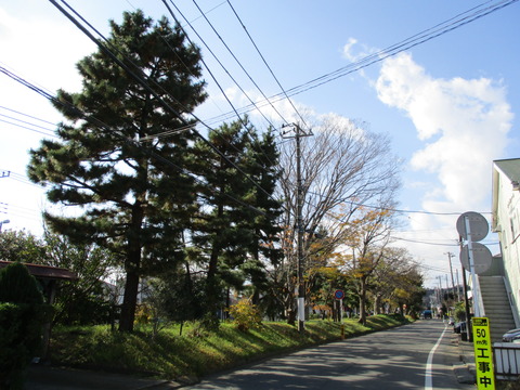 96また旧東海道らしい