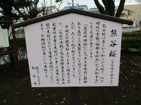 16中央公園7