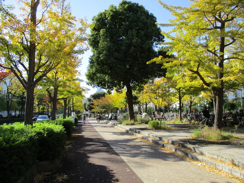 103富士見公園2