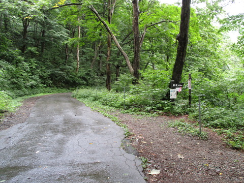 88新道連絡道1
