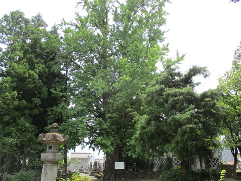 138長恩寺10