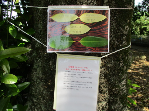 125徳星寺9