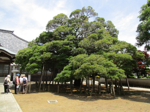 37馬蹄寺7