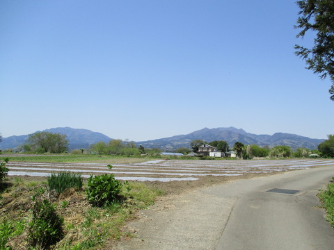 185遠景