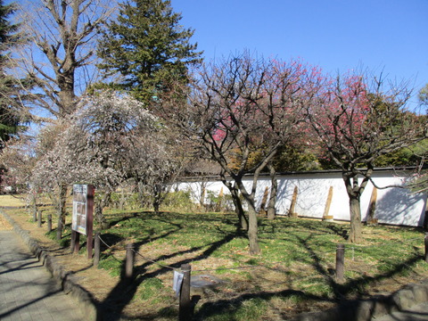 26菅刈公園内1