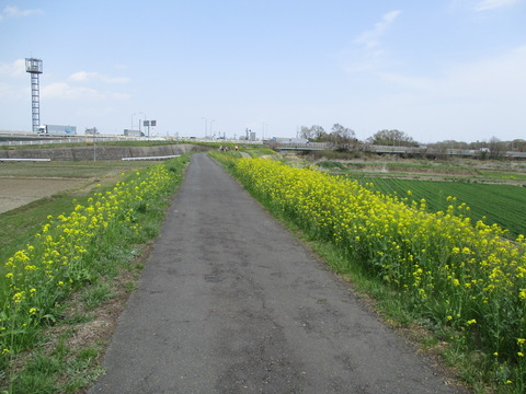 146萩島地域4