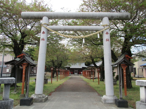 191金井神社2