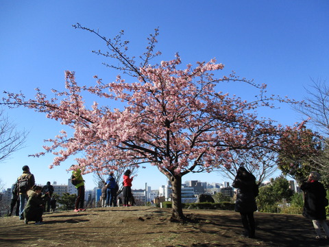 10西郷山公園3