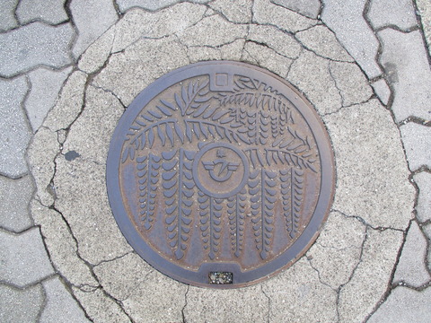 10フジ小