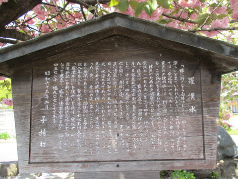 46羅漢水