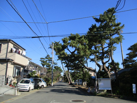 11旧東海道らしい