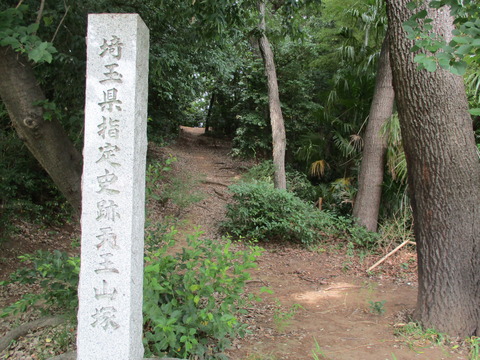 179天王山塚古墳13