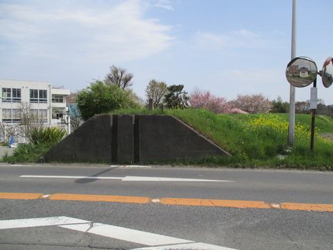 150土手2